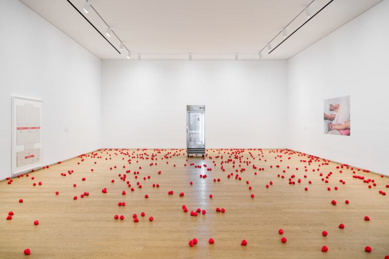 Installation view of an industrial refrigerator with clear doors and walls, against a white wall. On the white walls to the left is a cardboard box broken down, framed, and hung on the wall, to the right is a photograph of a medical professional preparing an arm for an injection. , On the wooden floors, tens or hundreds of red teardrop shaped forms are scattered, each the size of a tennis ball.
