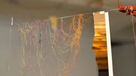 How We See the World